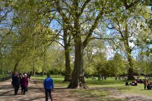 ST-JAMES-PARK (31)
